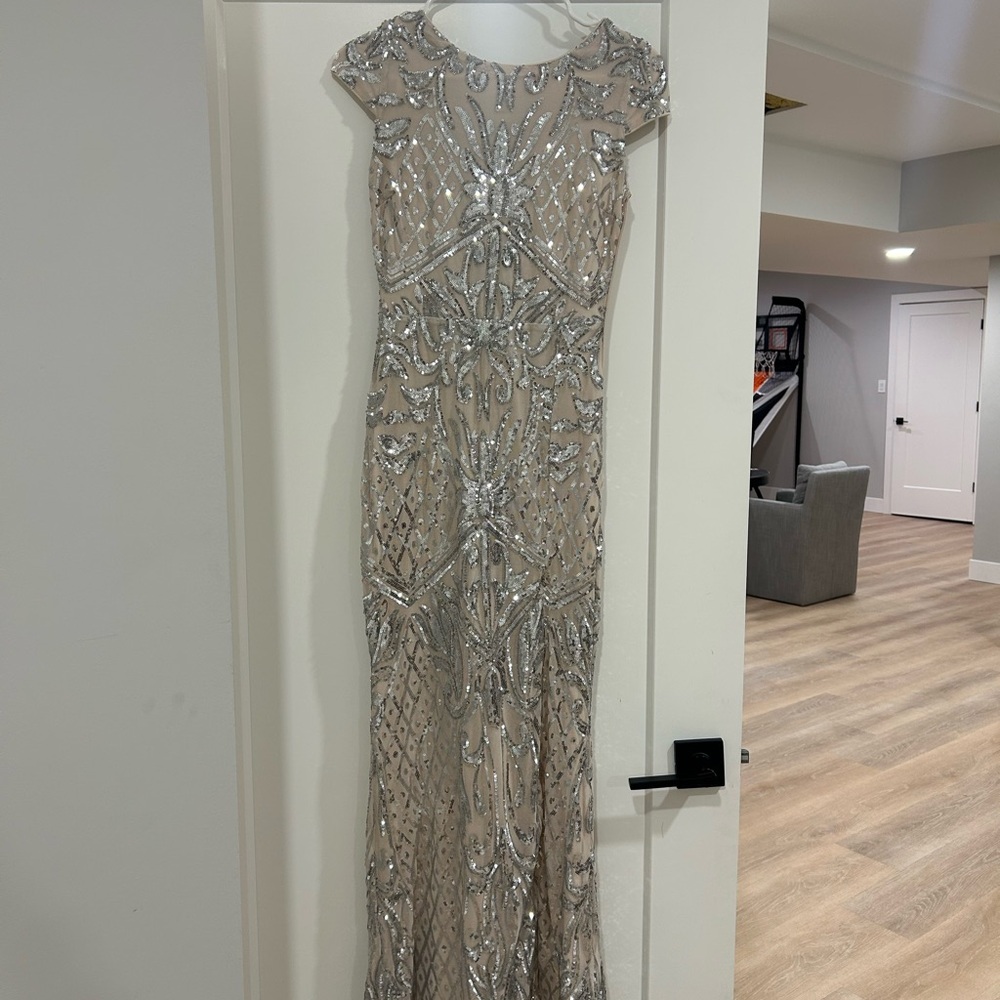 Windsor Beige and Silver Sequin Dress